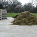 Mushroom Compost Pile